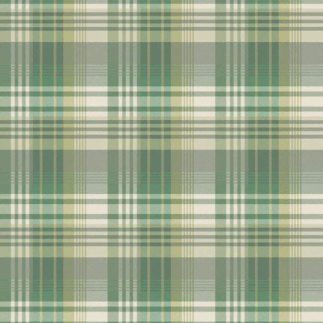 Mulberry Ancient Tartan in Emerald - Nested Designs