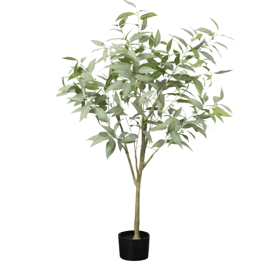 Tall Potted Eucalyptus Tree - Nested Designs