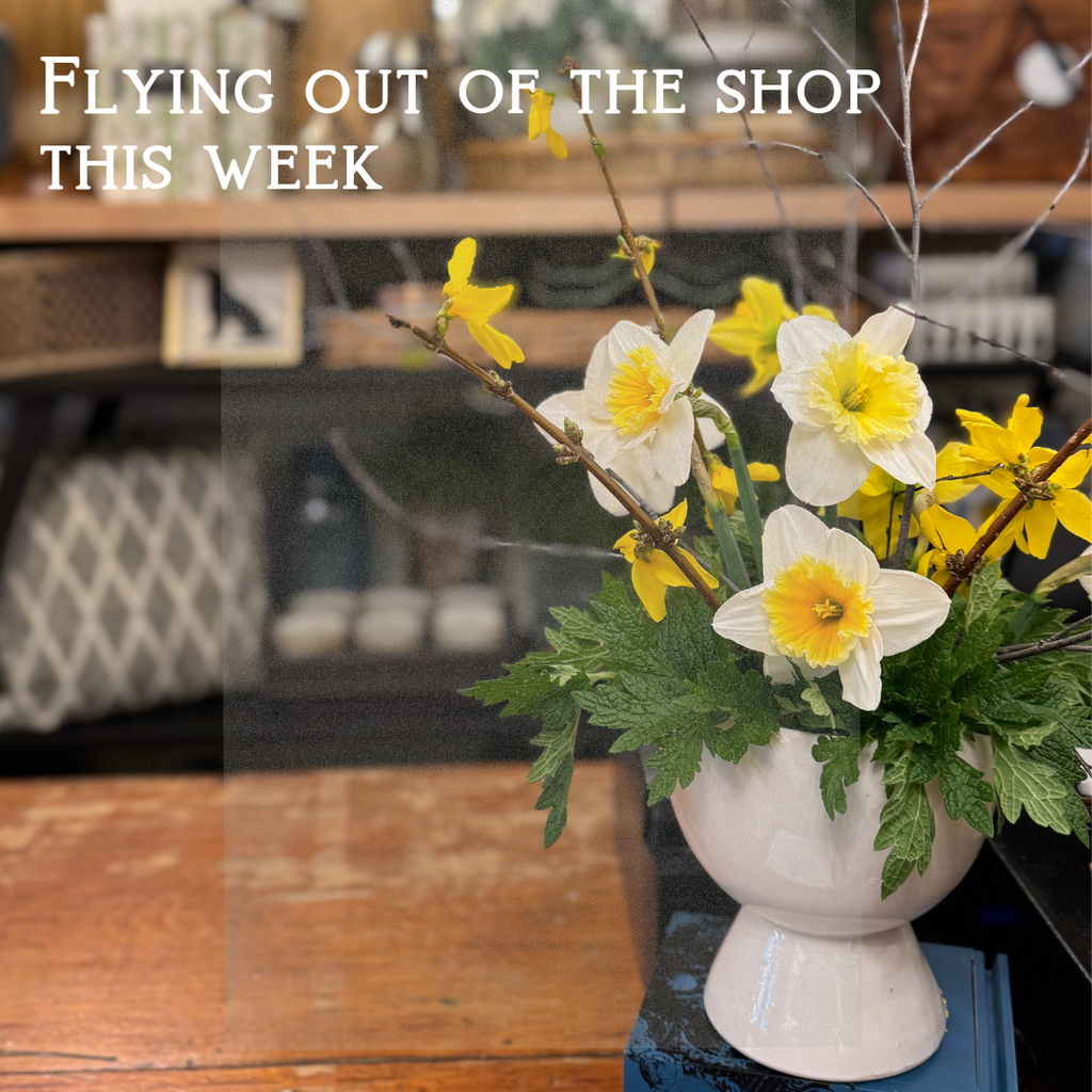 Flying Out of the Shop this Week at Nest