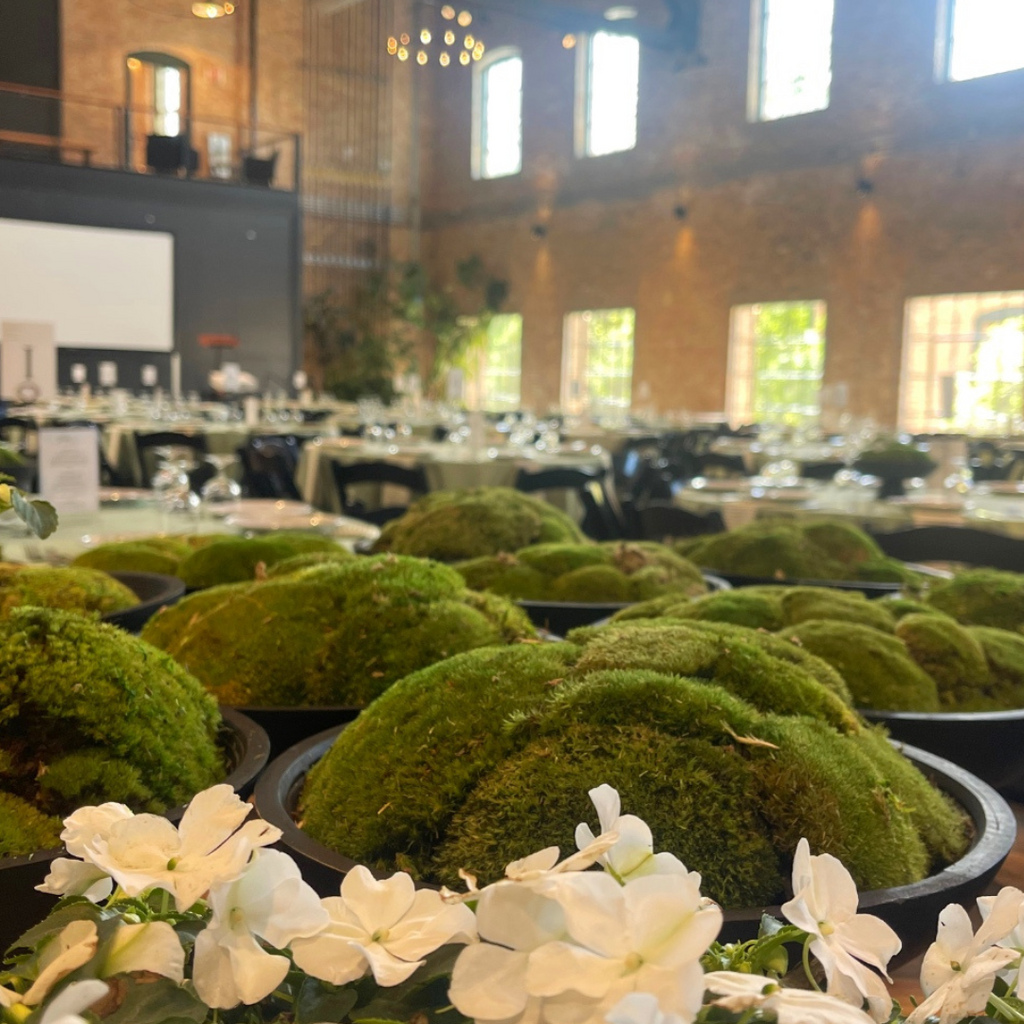 Spring Soirée: A Celebration of Wellness, Community, and Women’s Health