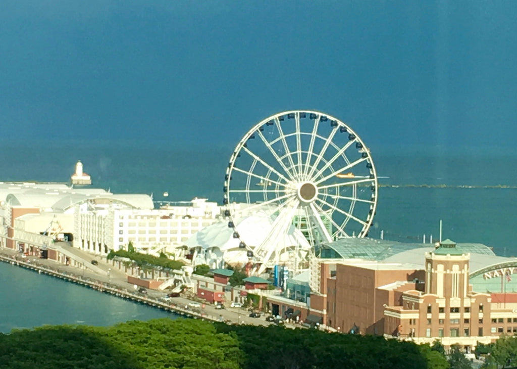 Our View of Navy Pier