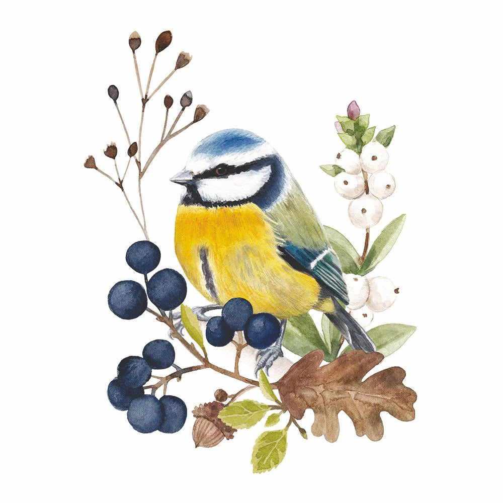 Oiseau en Nature Beverage Napkins - Nested Designs