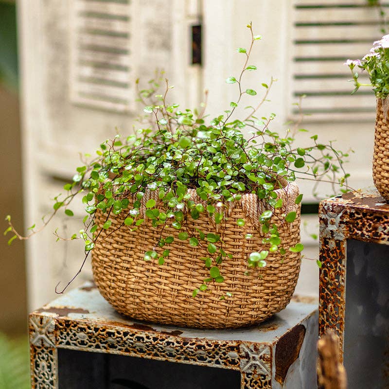 Lady Straw Basket Cement Planter - Nested