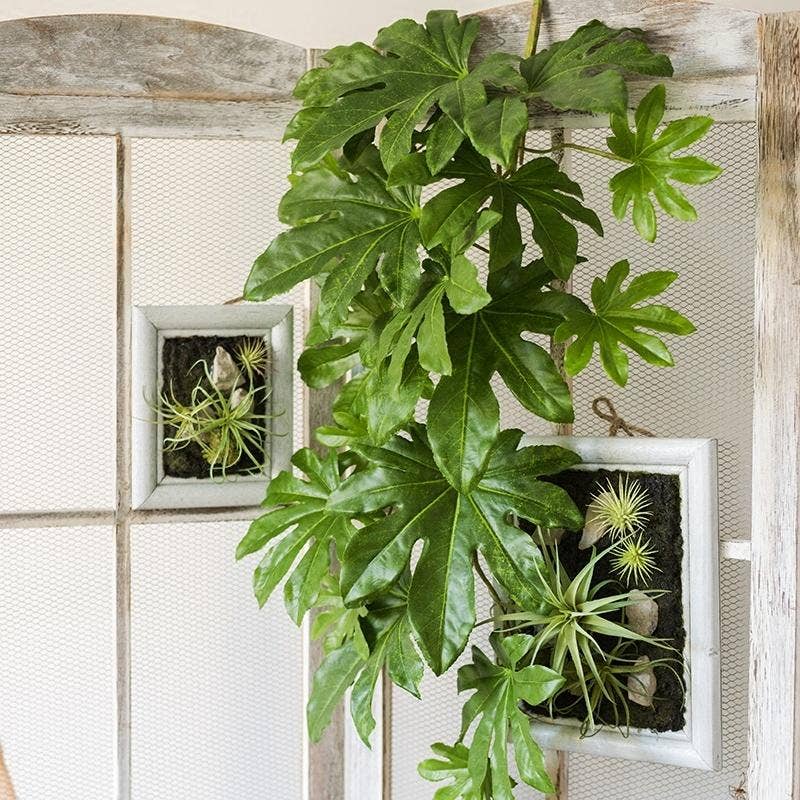 Artificial Plant Fatsia Leaf Vines - Nested