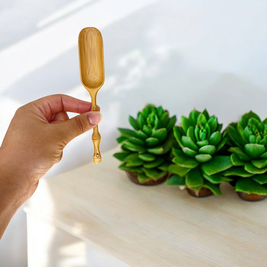 Bamboo Scoops - Nested Designs