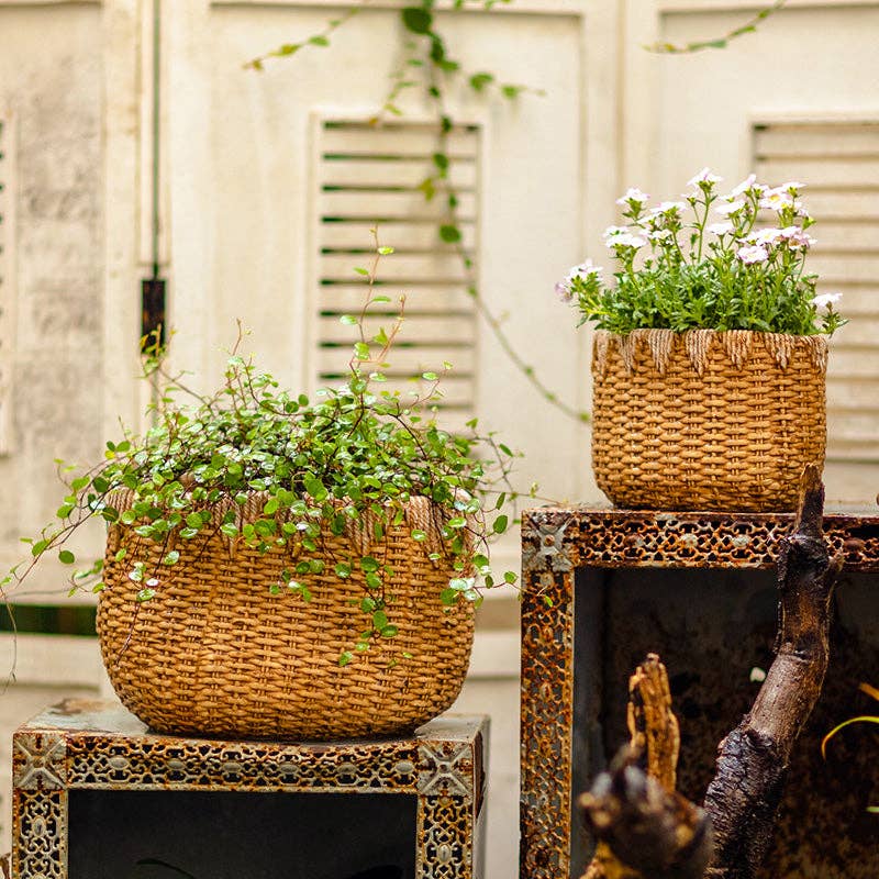 Lady Straw Basket Cement Planter - Nested