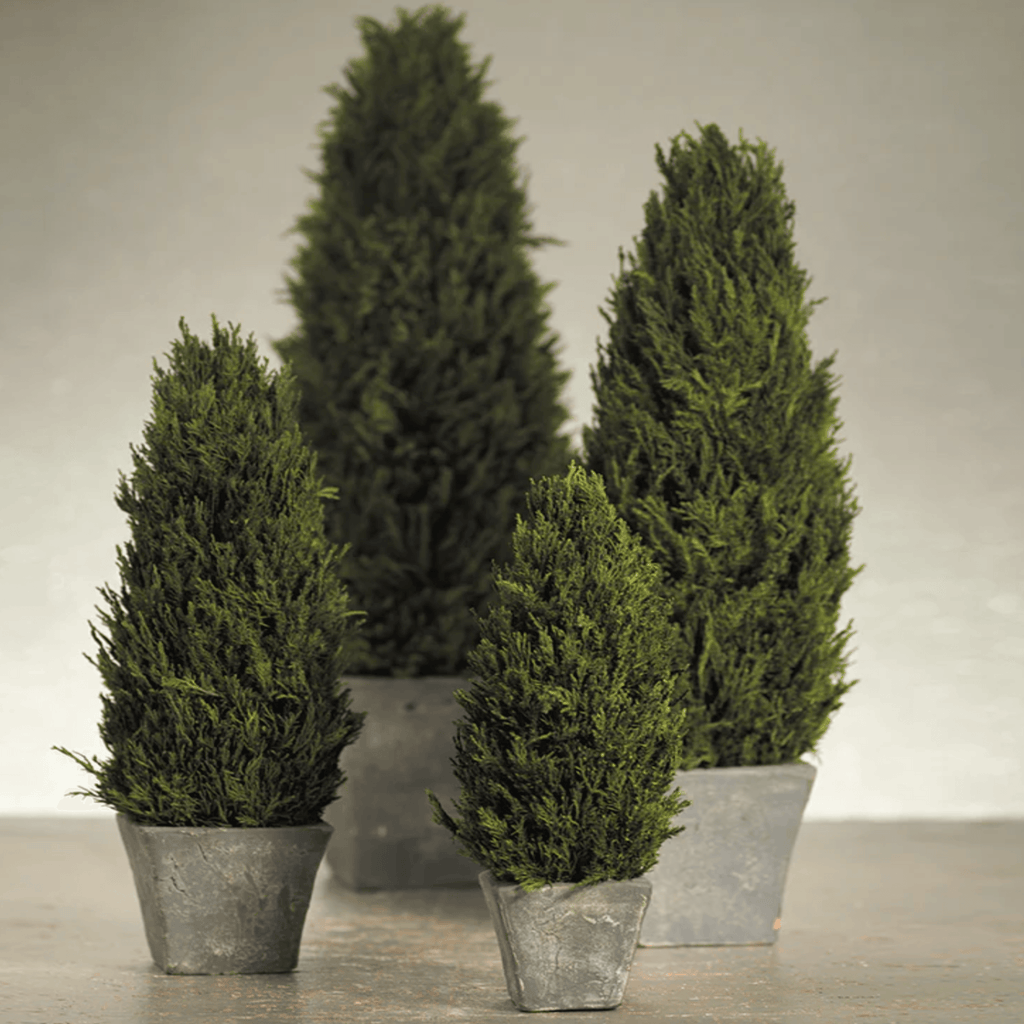 Cypress Tree Topiary- Extra large - Nested Designs
