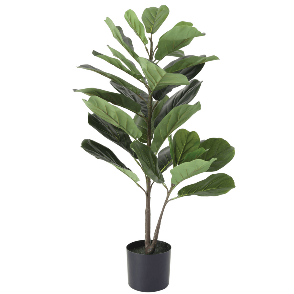 Faux Fiddle Leaf Fig Plant - NESTED