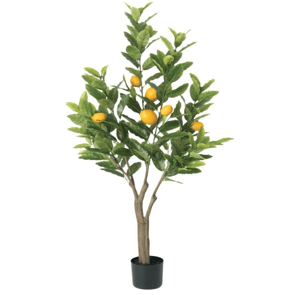 Lemon Topiary Tree - Nested Designs