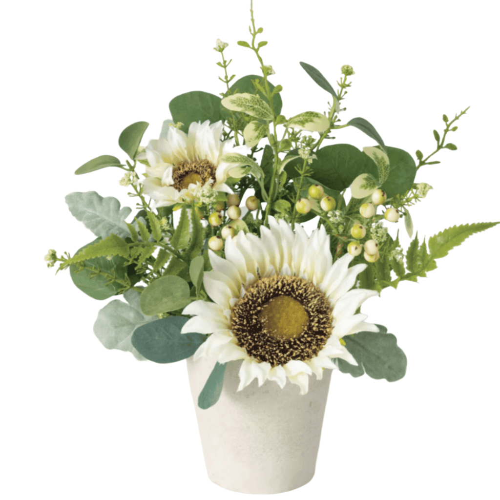 Sunflower Eucalyptus Berry Potted - Nested Designs