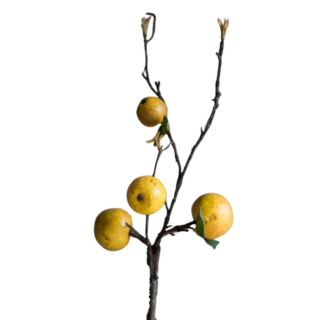 Artificial Yellow Apple Pear Stem - Nested