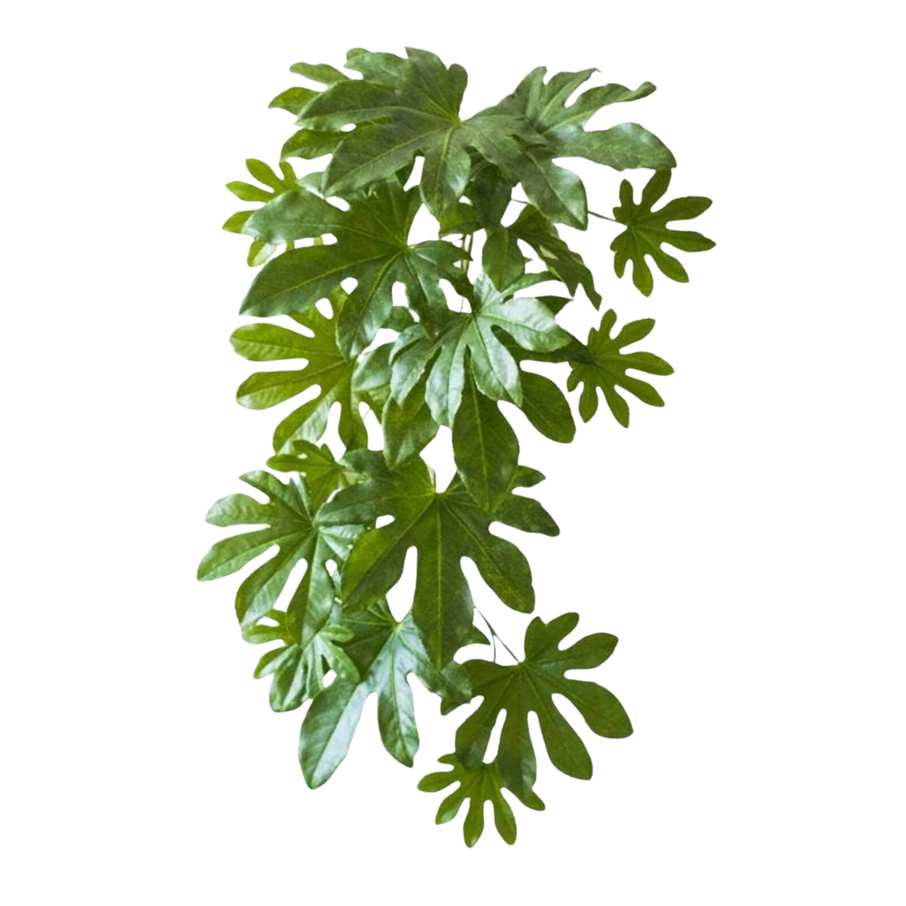 Artificial Plant Fatsia Leaf Vines - Nested