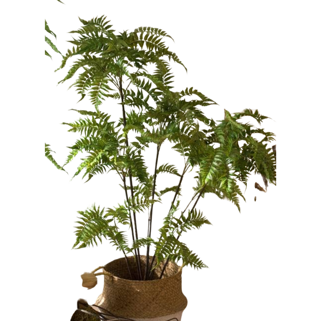 Artificial Green Leaf Fern Tree - Nested