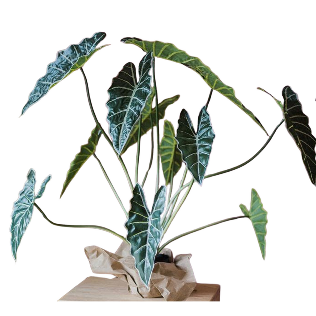 Potted Artificial Alocasia Plant - Nested