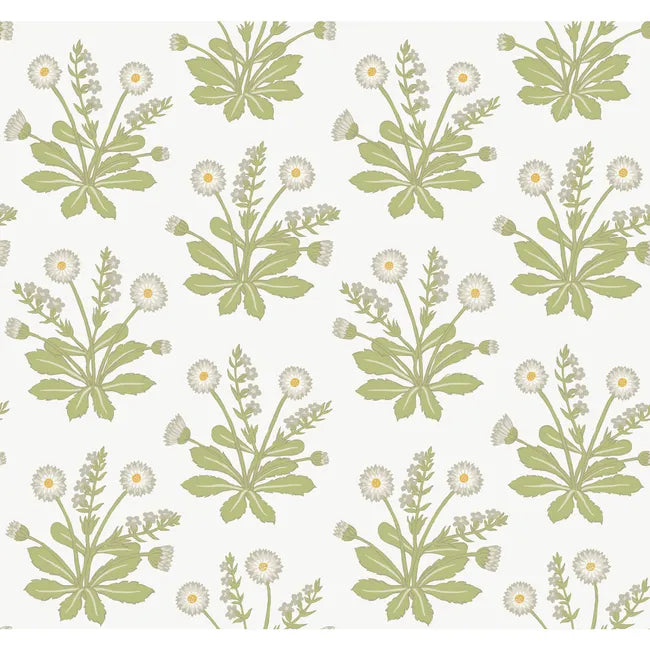 Floral Wallpaper in Beige - Nested Designs