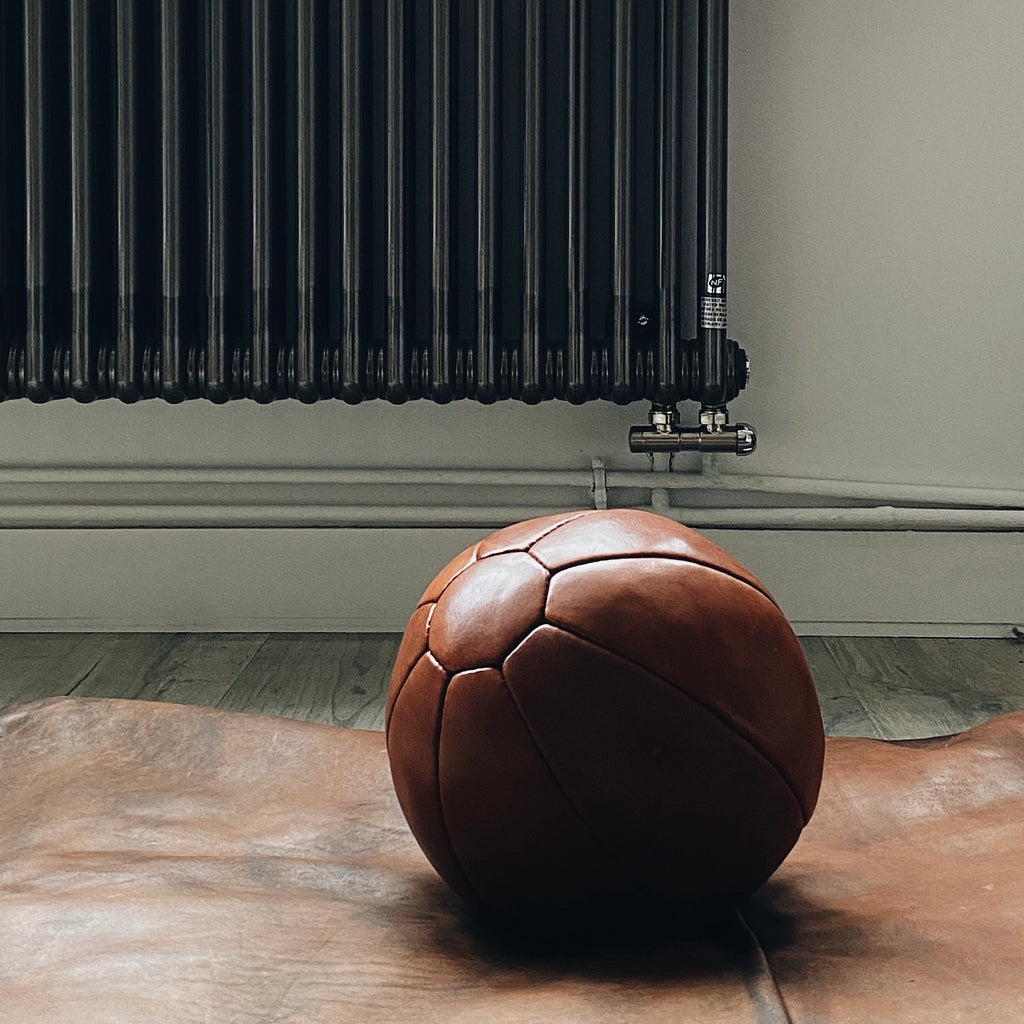 Leather Medicine Ball - Nested Designs