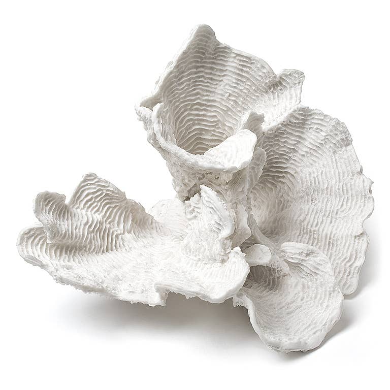 Large White Flower Coral - Nested