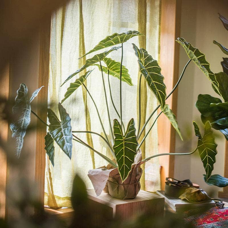 Potted Artificial Alocasia Plant - Nested