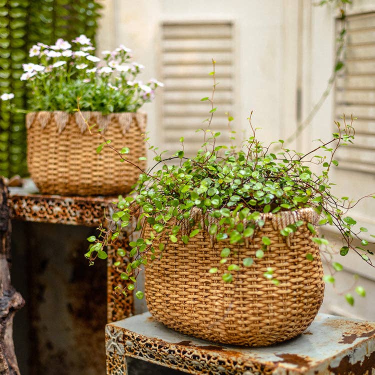 Lady Straw Basket Cement Planter - Nested