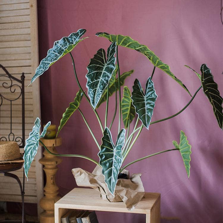 Potted Artificial Alocasia Plant - Nested