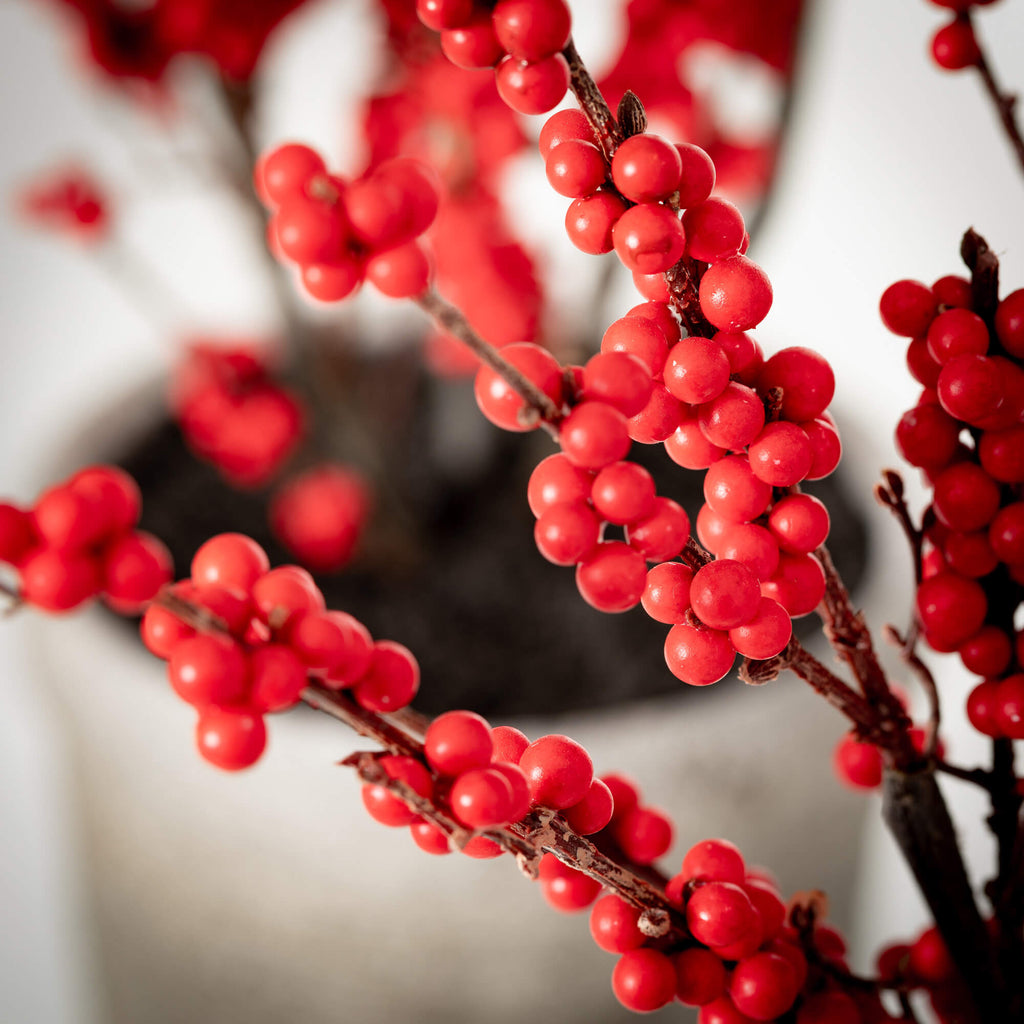 Potted Red Berry Tree Small - Nested Designs